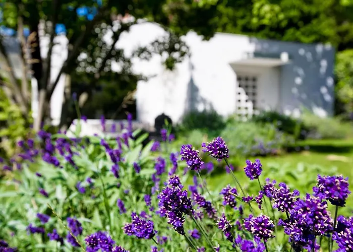 Ferienhaus Opatija Hills Breza