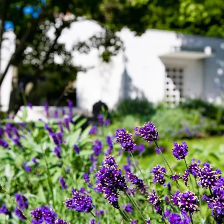 펜션 Opatija Hills Breza